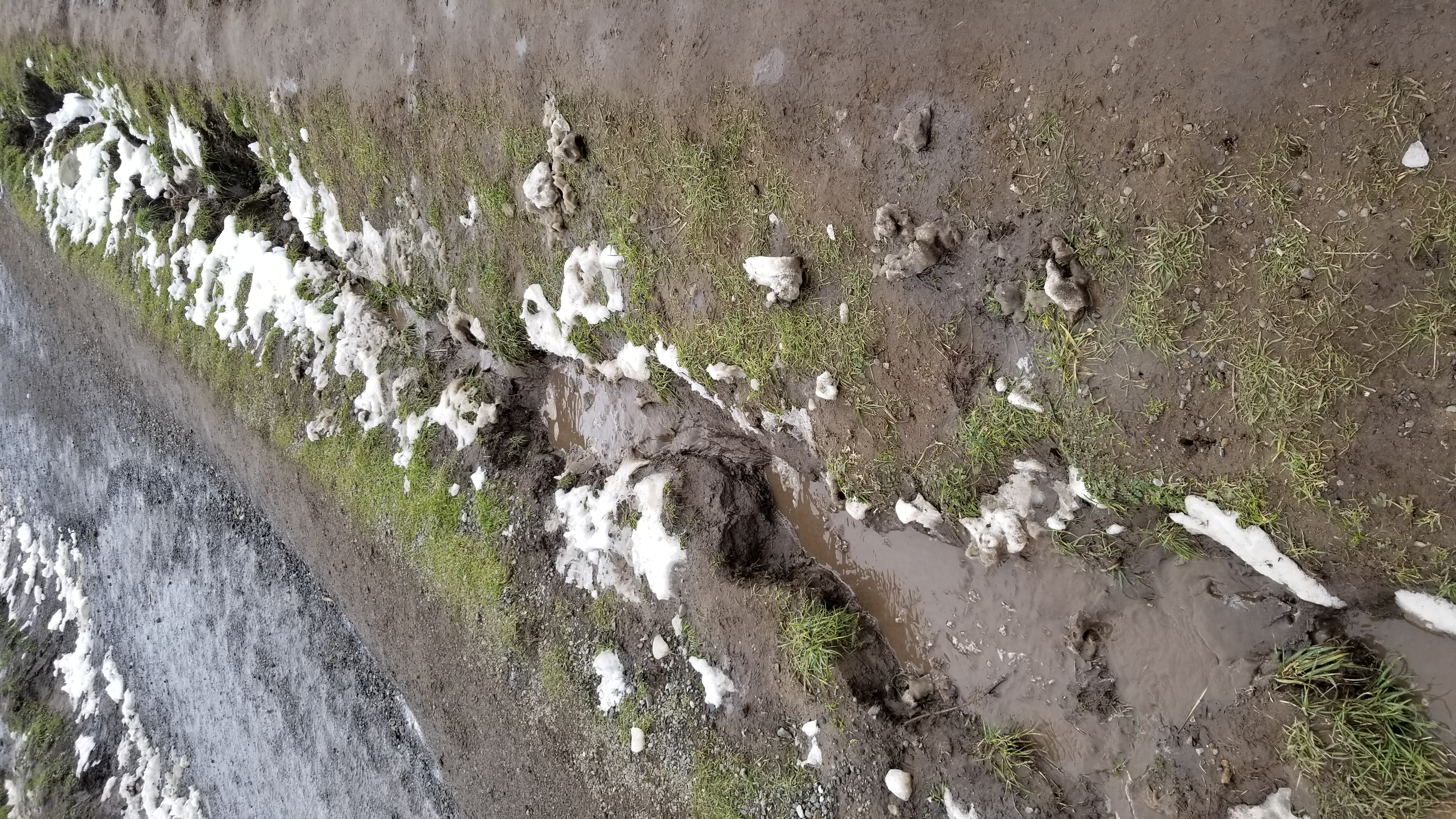 A little waterway in the middle of the trail.
